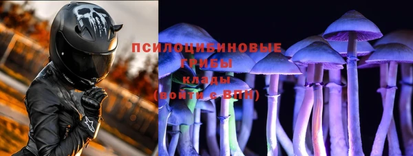 ПСИЛОЦИБИНОВЫЕ ГРИБЫ Верея