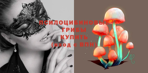 дурь Верхний Тагил