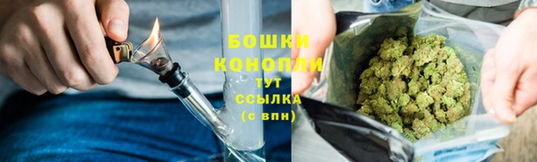 дурь Верхний Тагил