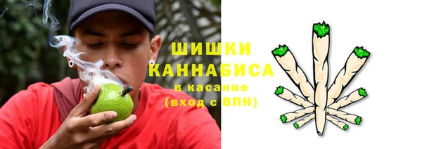 дурь Верхний Тагил