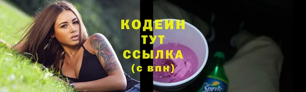 ПСИЛОЦИБИНОВЫЕ ГРИБЫ Верея