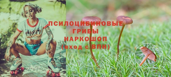 ПСИЛОЦИБИНОВЫЕ ГРИБЫ Верея
