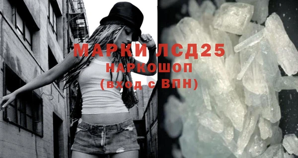 ПСИЛОЦИБИНОВЫЕ ГРИБЫ Верея