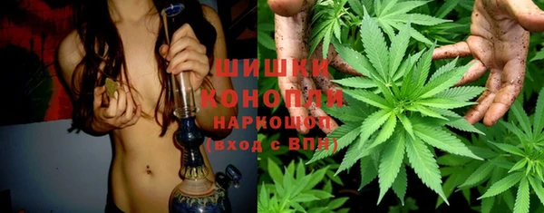 ПСИЛОЦИБИНОВЫЕ ГРИБЫ Верея