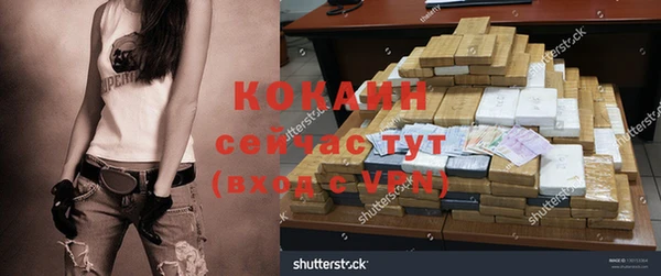 ПСИЛОЦИБИНОВЫЕ ГРИБЫ Верея