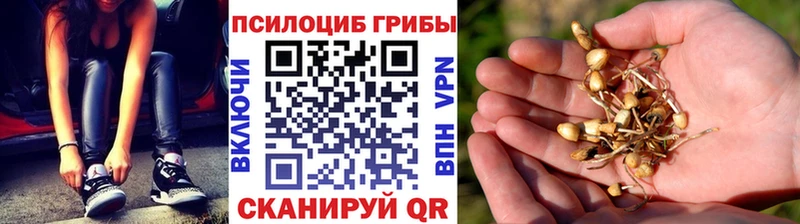Галлюциногенные грибы MAGIC MUSHROOMS  Купить закладки  Муром 
