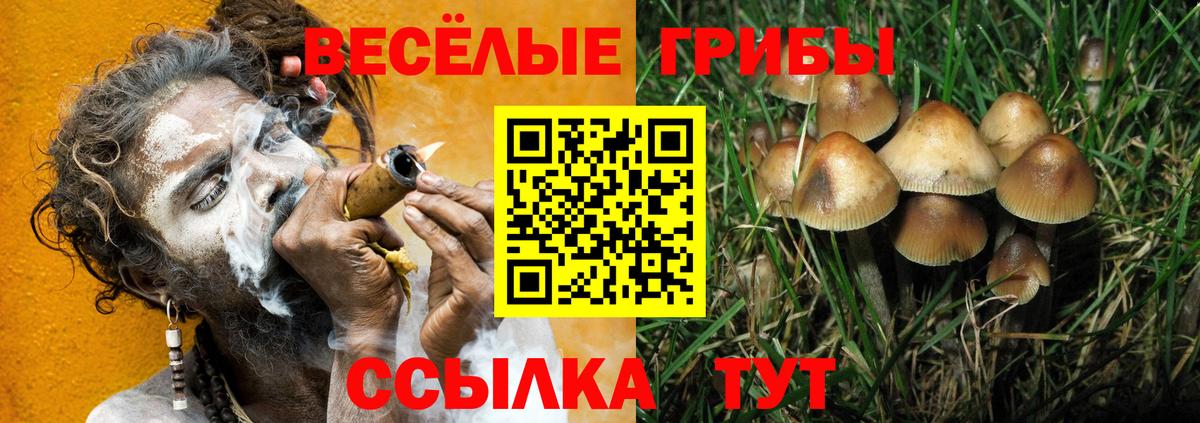 Галлюциногенные грибы ЛСД Муром